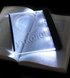 Фонарь для чтения №5060 Book light