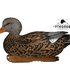 Комплект чучел утки "Серая утка Gadwalls Floater Pro-Grade Series №73145" (GreenHead Gear)