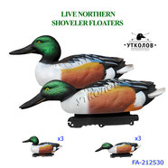 Комплект чучел уток "Широконоска селезень Live Northern Shoveler Floaters FA-212530" 